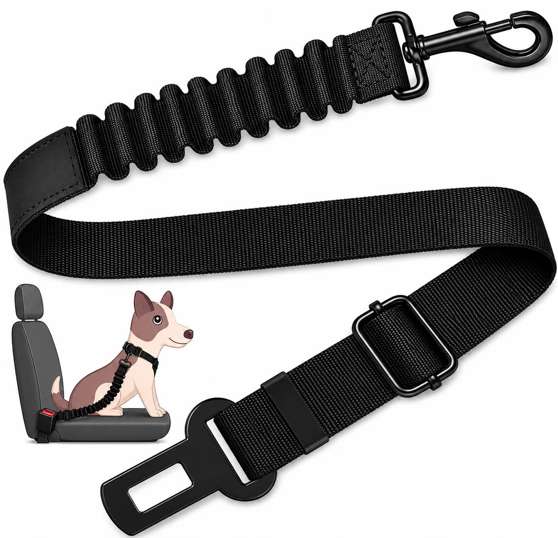 LunovaPet® Correa para Mascotas